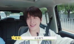 张远爆料陆虎视频大全集,揭秘背后故事与精彩瞬间